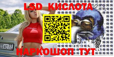 амф Гатчина