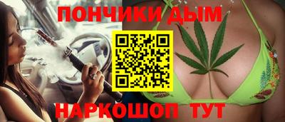 стаф Гай
