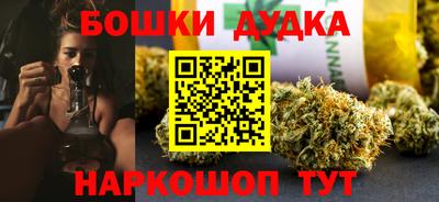 стаф Гай