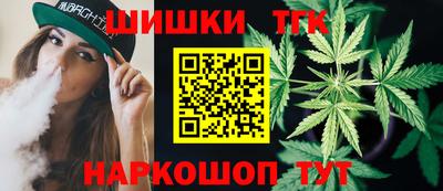 стаф Гай