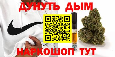 стаф Гай