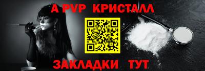 стаф Гай